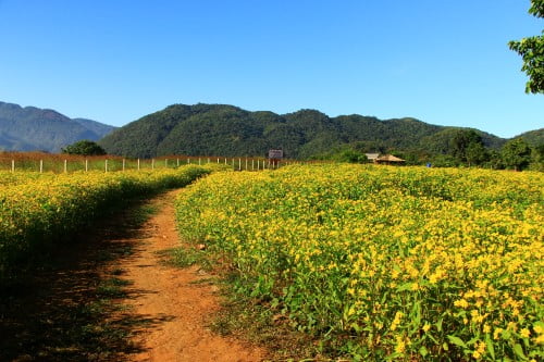 รูปประกอบ