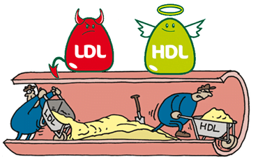 รูปประกอบ