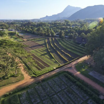 รูปประกอบ